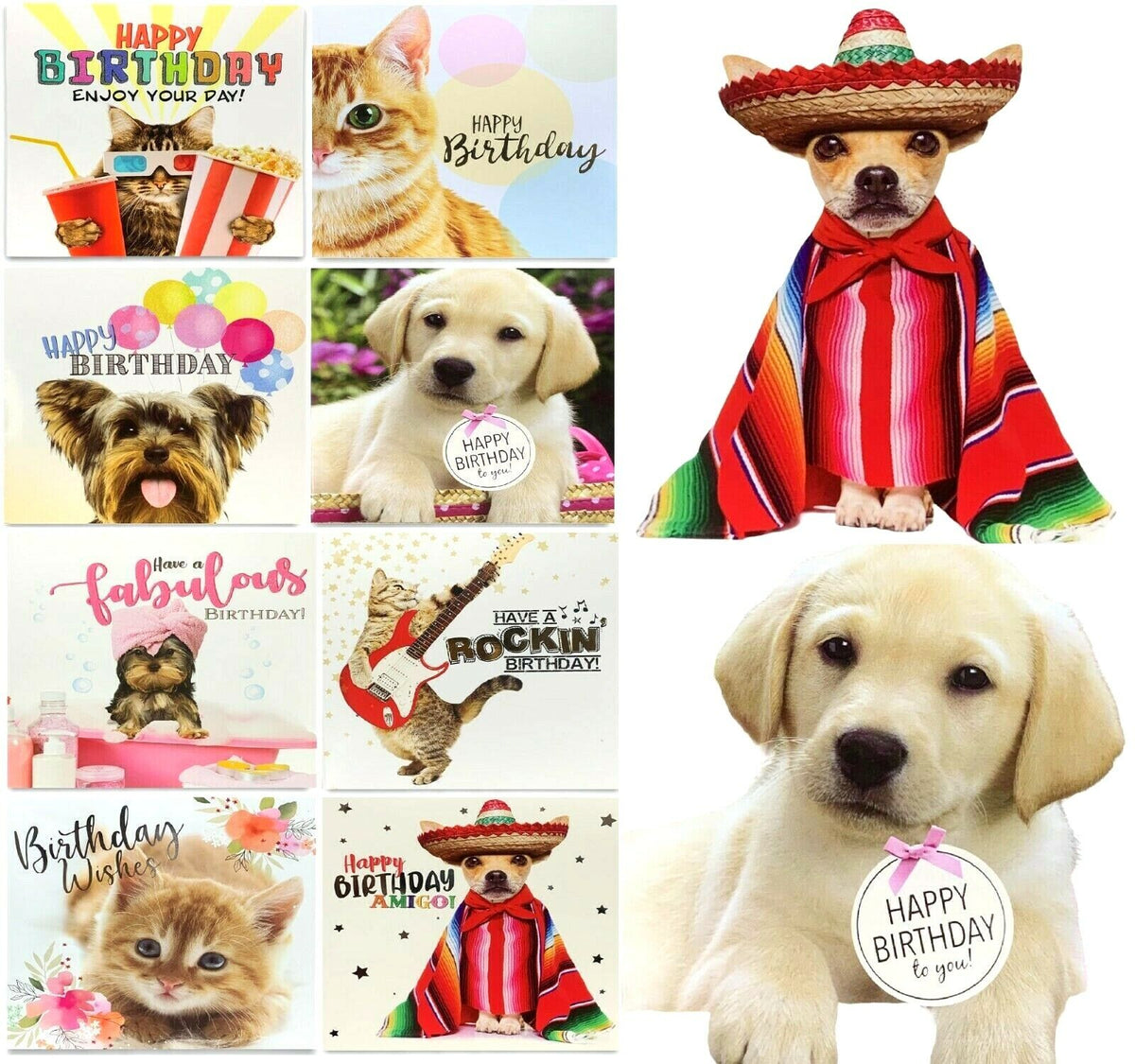 Pack of 8 Mixed Assorted Happy Birthday Pet Cards - Greeting Cards for Cats & Dogs