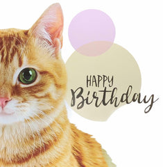 Pack of 8 Mixed Assorted Happy Birthday Pet Cards - Greeting Cards for Cats & Dogs