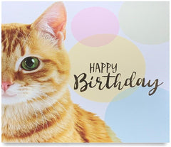 Pack of 8 Mixed Assorted Happy Birthday Pet Cards - Greeting Cards for Cats & Dogs