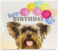 Pack of 8 Mixed Assorted Happy Birthday Pet Cards - Greeting Cards for Cats & Dogs