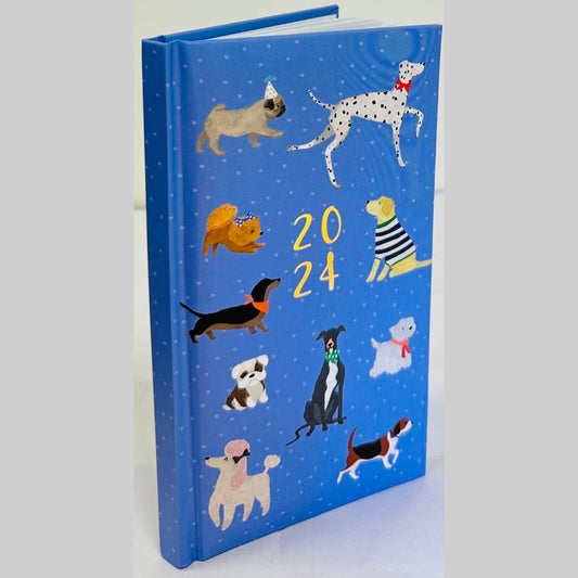 2024 A5 Week To View/WTV Personal Executive Colourful Cute Print Foil Effect Diary